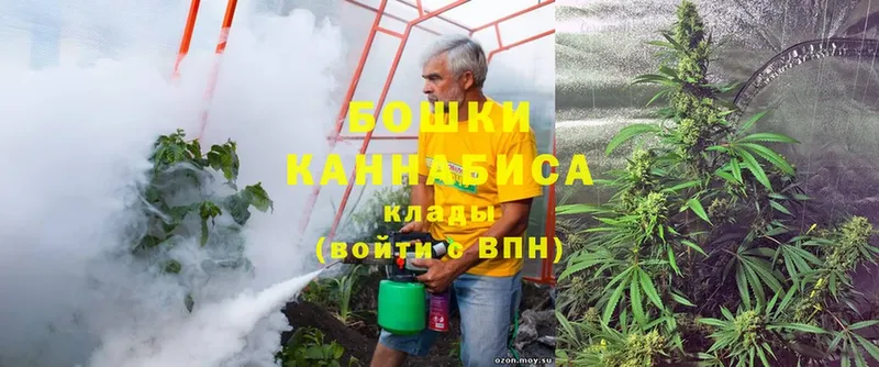 Бошки марихуана Ganja  где найти наркотики  omg зеркало  Йошкар-Ола 